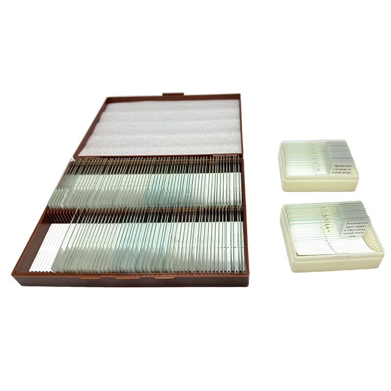 Microscopium slide biologiae educationis ornamentum, natura biologiae