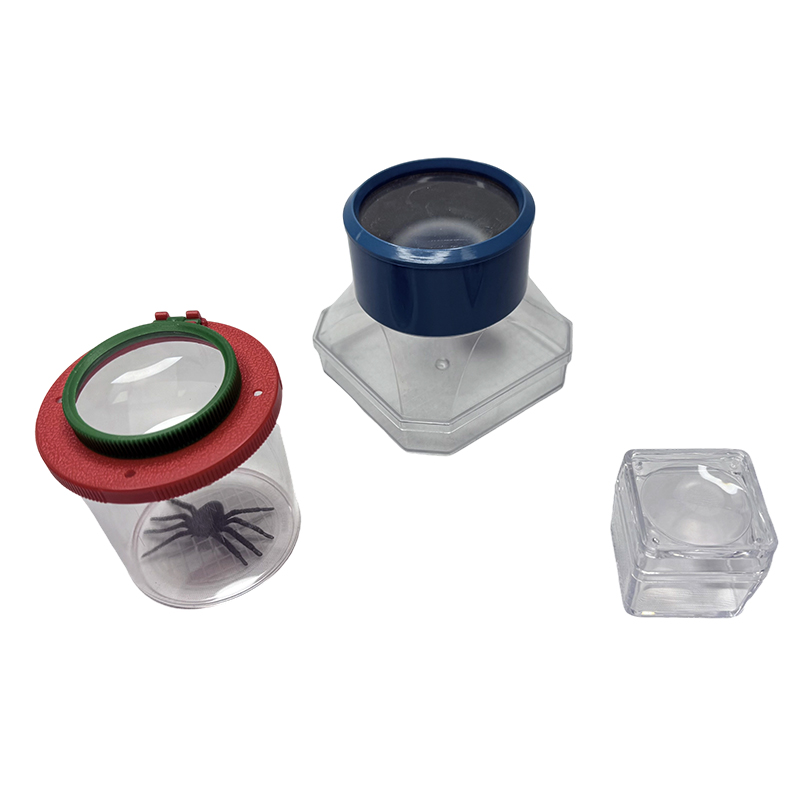 Naturalis insectum observet