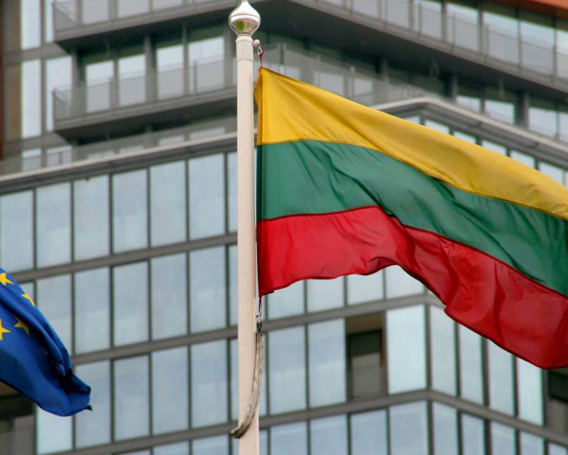 Lithuaniae Government Procurement Project
