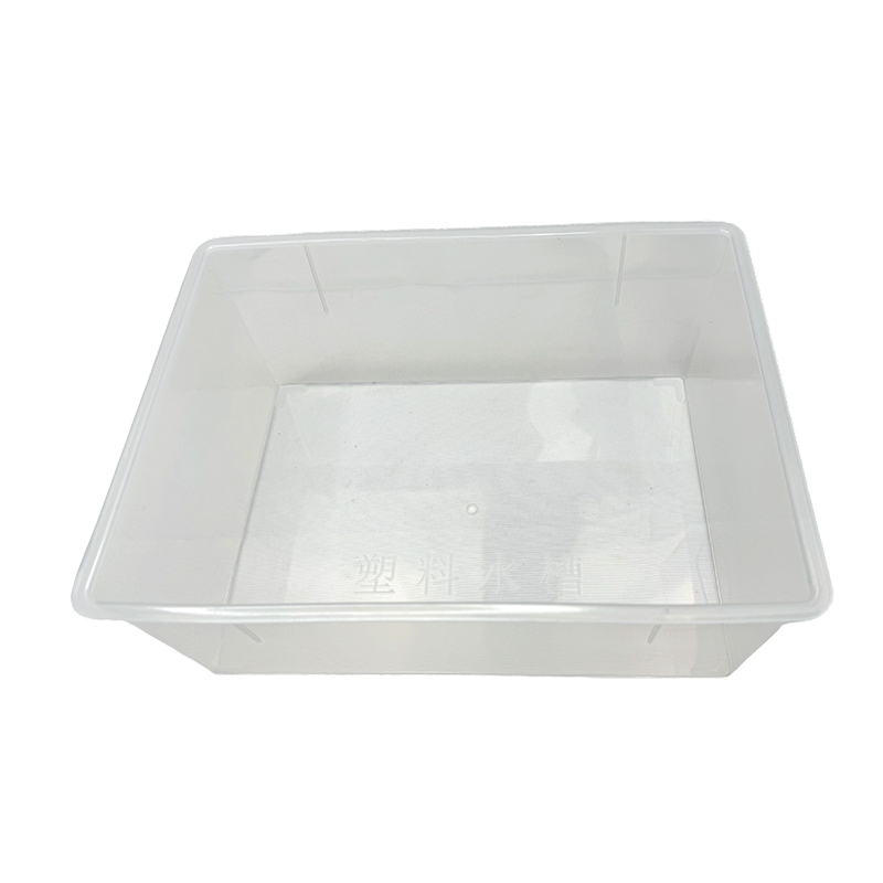 Ipsumque submersa officinarum plastic 