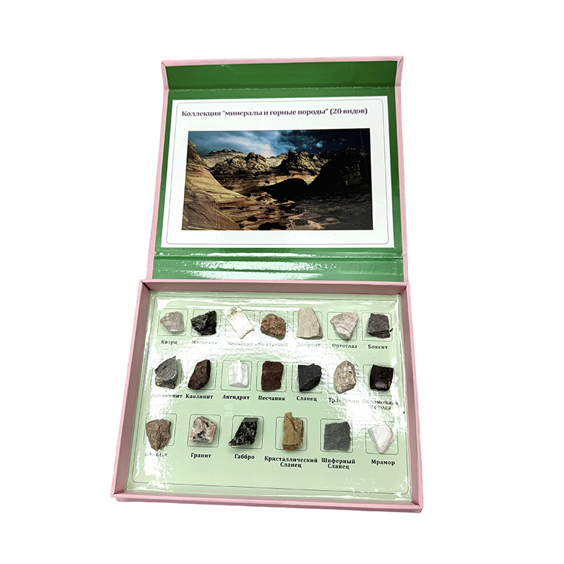 Specimen speciminum mineralium et petrarum