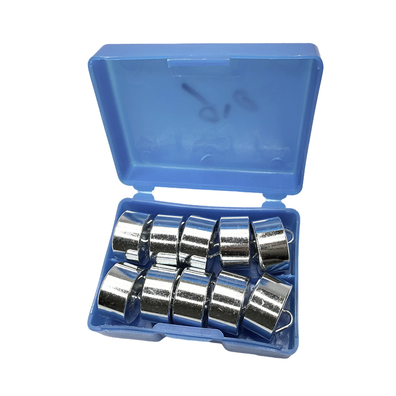 Pondus aduncum educational posuit 50gx10PCS/scholae physicae instrumenti lab instrumenti scientiae experimentum et ornamentum docendi