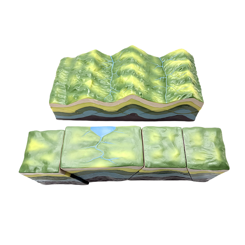 Exemplar pro instrumento docendi geologici exemplum culpae exemplum demonstrationis geometricae trinae