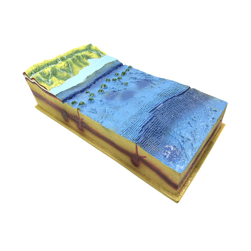 Underwater seabed exemplum