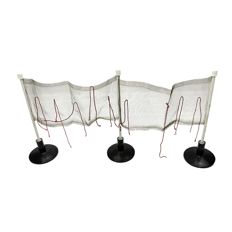 Screen electroscope pro doctrina usus