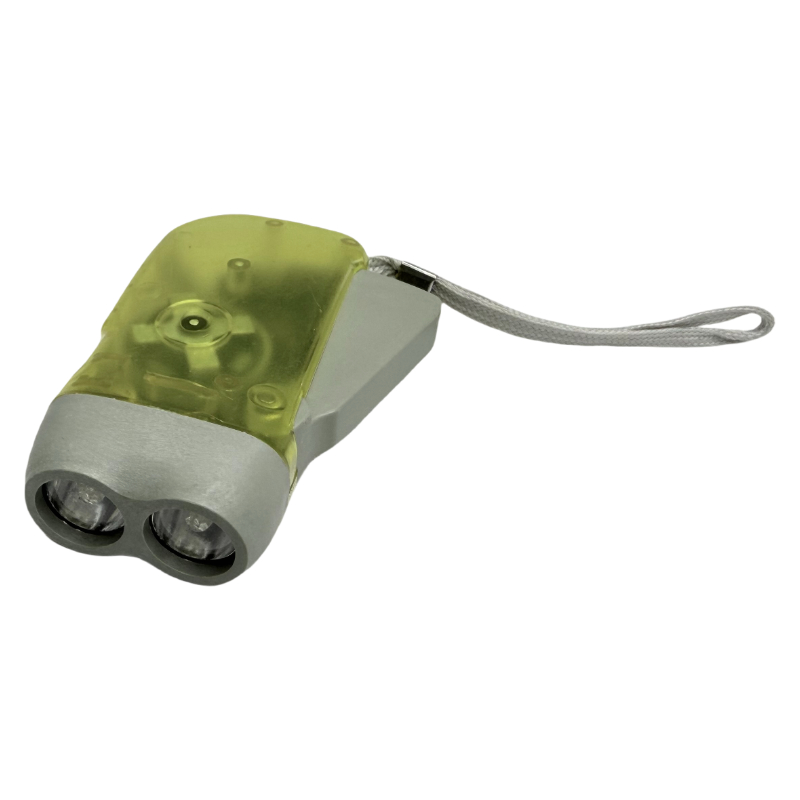 Manu torcular plastic saccus dorsualis DUXERIT saccus